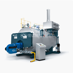 ZOZEN Coal Fired Boiler