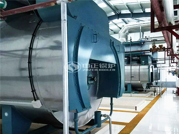 Gas-Fired Steam Boilers Of Dairy Enterprises