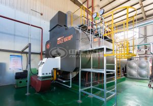 5 tph boiler